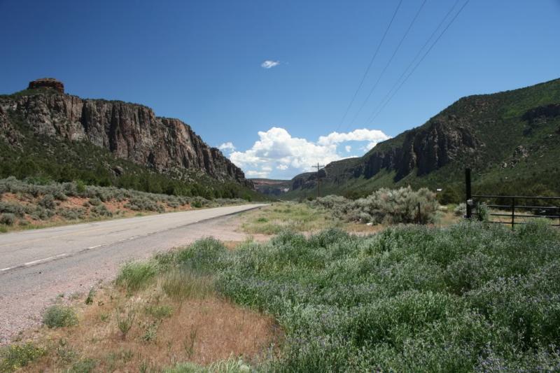 Pine Junction to Woodland Park: Route 67