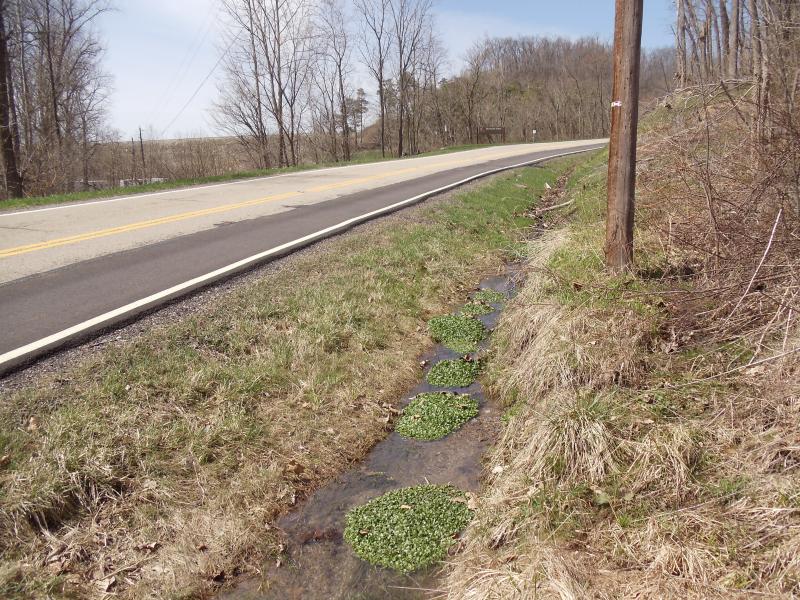 Route 715 to Mohawk Dam