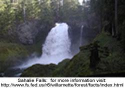 Aufderheide Memorial Drive