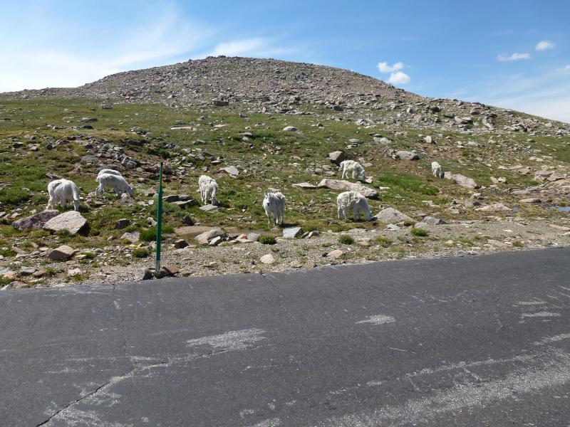 The "High 5" to Mt. Evans
