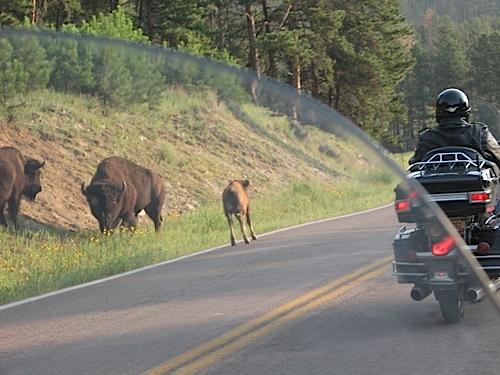 Photo taken on 16A in South Dakota