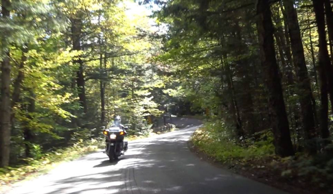 31 - More Rt 113 where the road narrows and heads up into the national forest