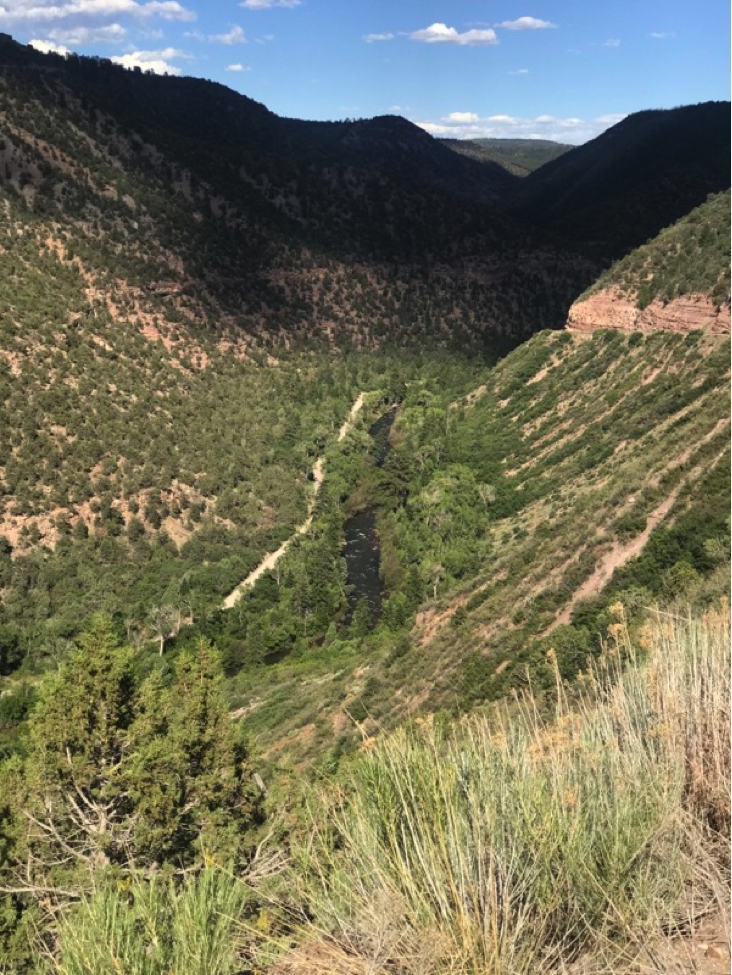 Along CO Route 141 - One of the best motorcycle ride's in Colorado