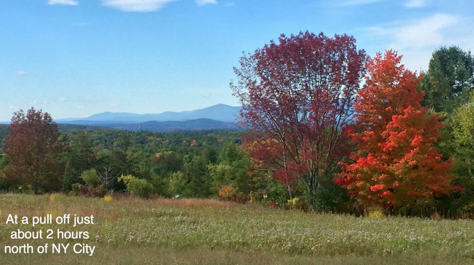 52 - Snapped a picture at a rest stop about 2 hours north of New York City