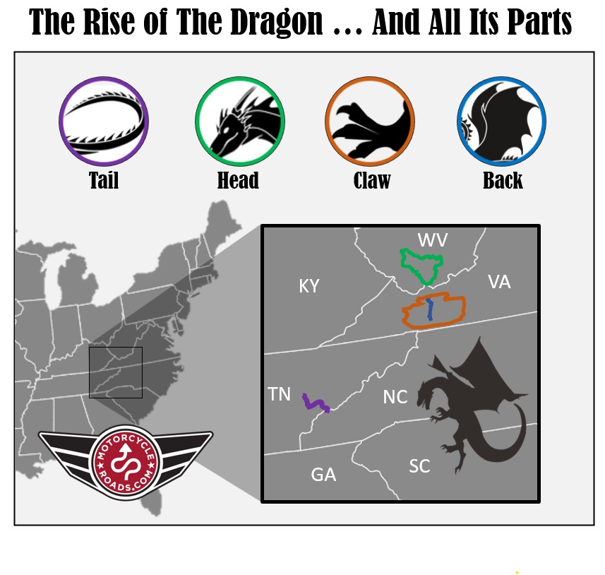 the tail of the dragon and back, head, claw