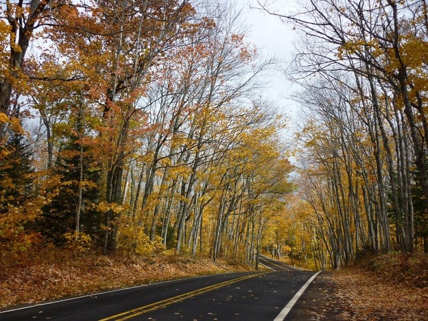 Tunnel Of Trees Road - michigan motorcycle rides near me