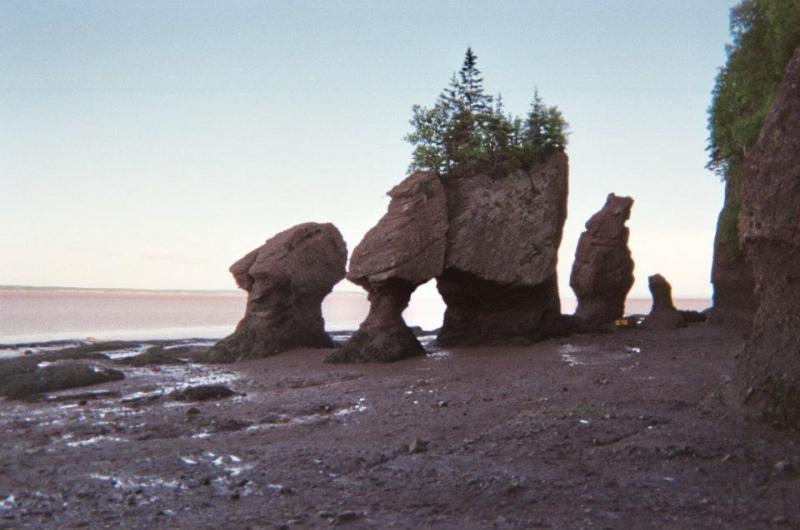 great days run new brunswick motorcycle ride