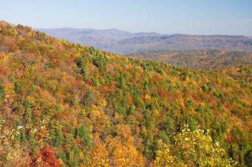 highway 28 georgia motorcycle ride.jpg