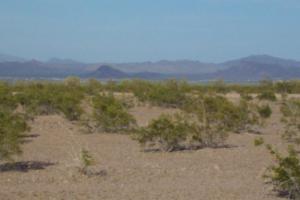 Quartzsite - Yuma Loop