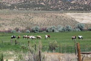 Rangely to Meeker on Route 64