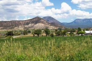 The Black Canyon Run