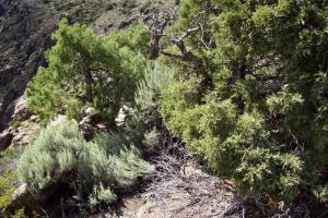 Colorado Route 149 - South Fork to Gunnison