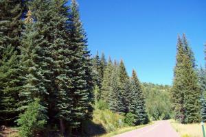 Hotchkiss to Carbondale on Hwy 133