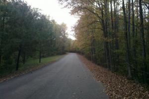 Natchez Trace Parkway