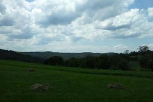 231 & 221 Loop - Little Laguna