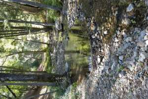 Nacimiento Road - Paso Robles to Big Sur