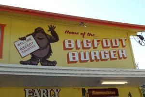 Hwy 299 from the coast to Redding, CA