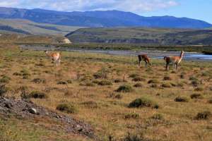 The Carretera Austral (Chile)