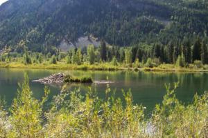 Route 3 to Marble Colorado