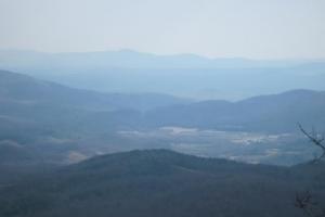 Diamond Back Loop (226 & 226A)