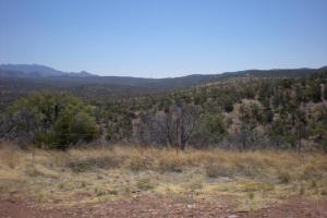 Route 83 to Parker Canyon Lake
