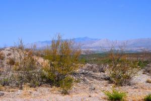 Cascabel Road to Redington Pass