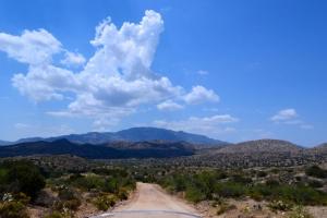 Cascabel Road to Redington Pass