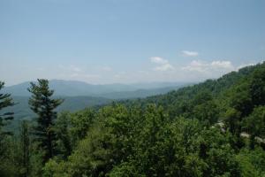 Diamond Back Loop (226 & 226A)