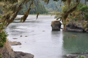 WA 112&113 To Neah Bay