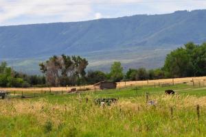 Grand Mesa - Colorado State Route 65
