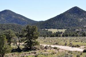 From Loa to Green River