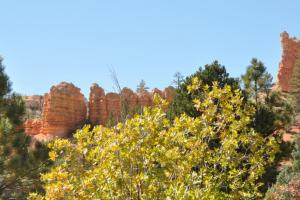 The Grand Staircase-Escalante National Monument tour
