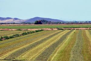 Old Arizona Highway 80