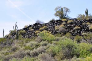Old Arizona Highway 80