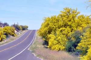 Old Arizona Highway 80