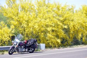 Old Arizona Highway 80