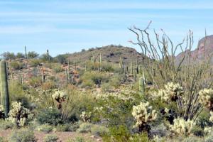 Bagdad to Iron Springs