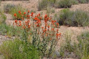 The Arches National Park Loop