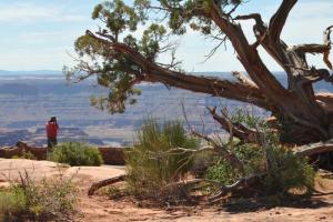 SR 313 to Dead Horse Point