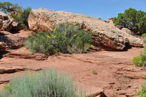 SR 313 to Dead Horse Point