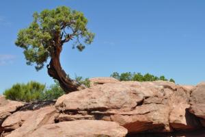 SR 313 to Dead Horse Point