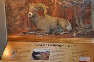 SR 313 to Dead Horse Point