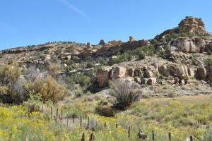 De Beque Cuttoff - 45.5 Road