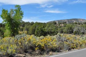 De Beque Cuttoff - 45.5 Road