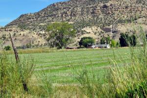 De Beque Cuttoff - 45.5 Road