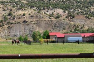 De Beque Cuttoff - 45.5 Road