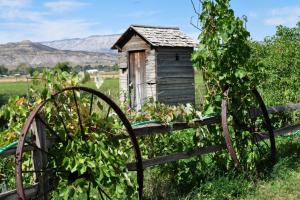 De Beque Cuttoff - 45.5 Road