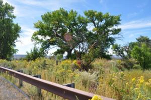 De Beque Cuttoff - 45.5 Road