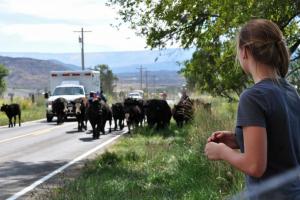 De Beque Cuttoff - 45.5 Road