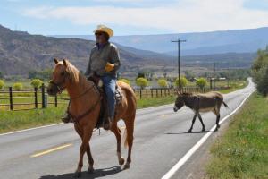 De Beque Cuttoff - 45.5 Road